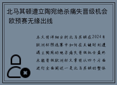 北马其顿遭立陶宛绝杀痛失晋级机会 欧预赛无缘出线