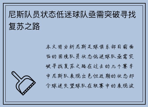 尼斯队员状态低迷球队亟需突破寻找复苏之路